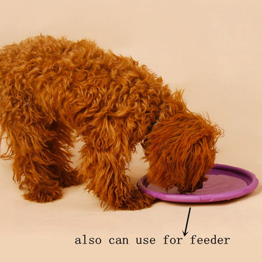 Dog Heaven™ Flying Disc